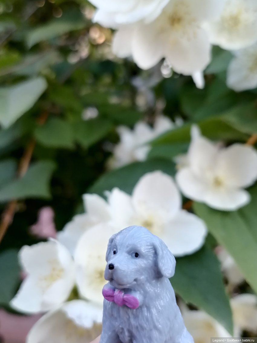 Лурения: прогулки собачек от Kari