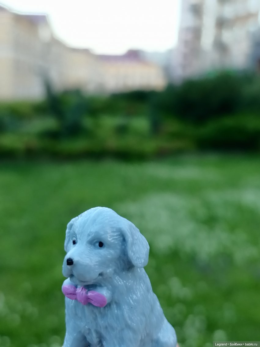 Лурения: прогулки собачек от Kari