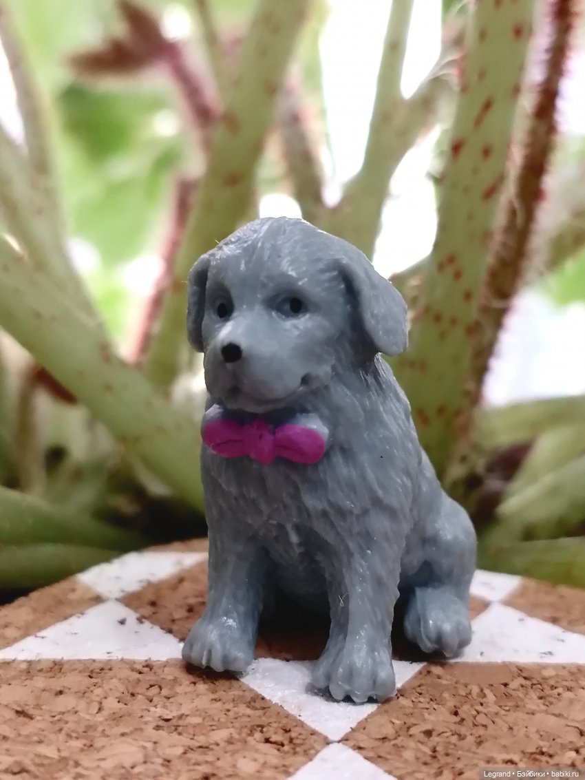 Лурения: прогулки собачек от Kari (фото 4)