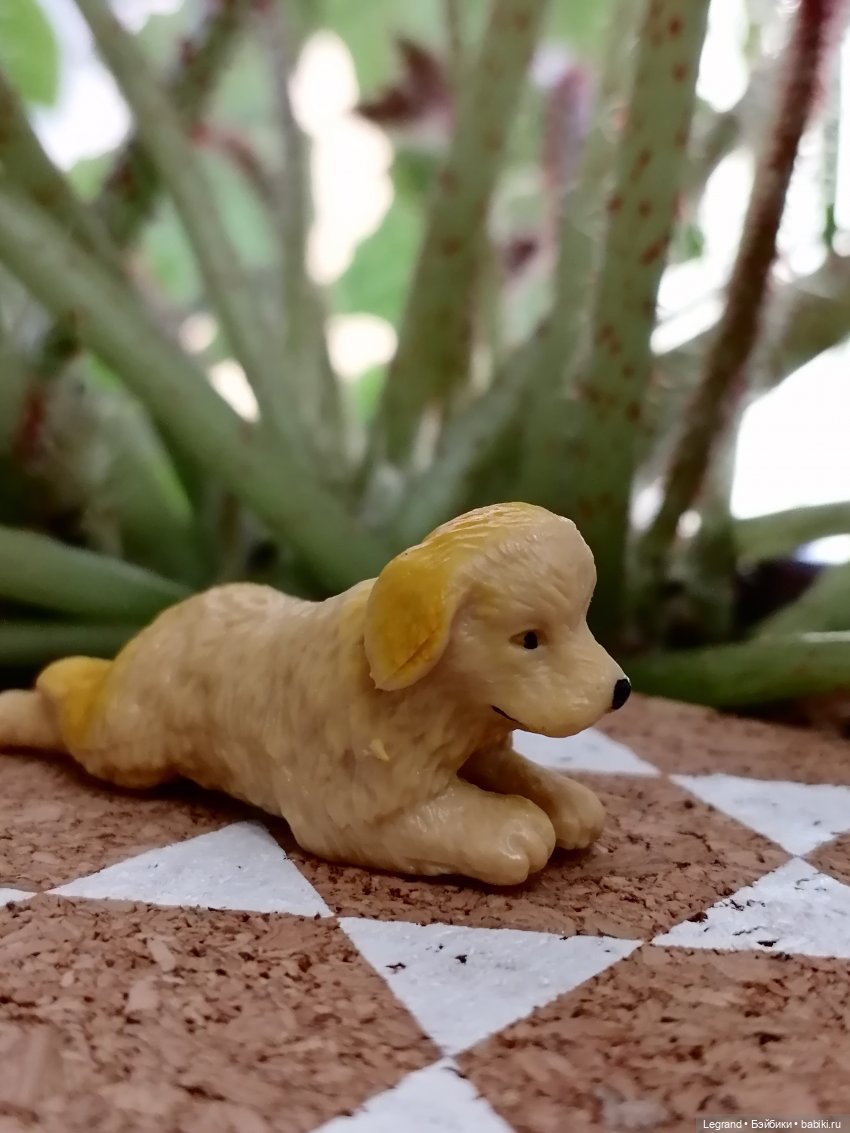 Лурения: прогулки собачек от Kari (фото 8)