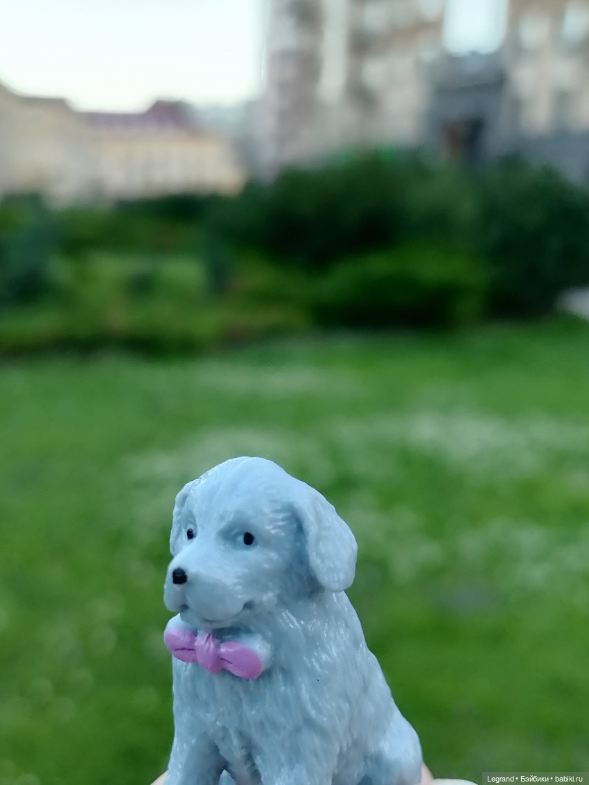 Лурения: прогулки собачек от Kari