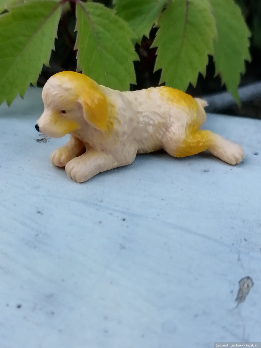 Лурения: прогулки собачек от Kari