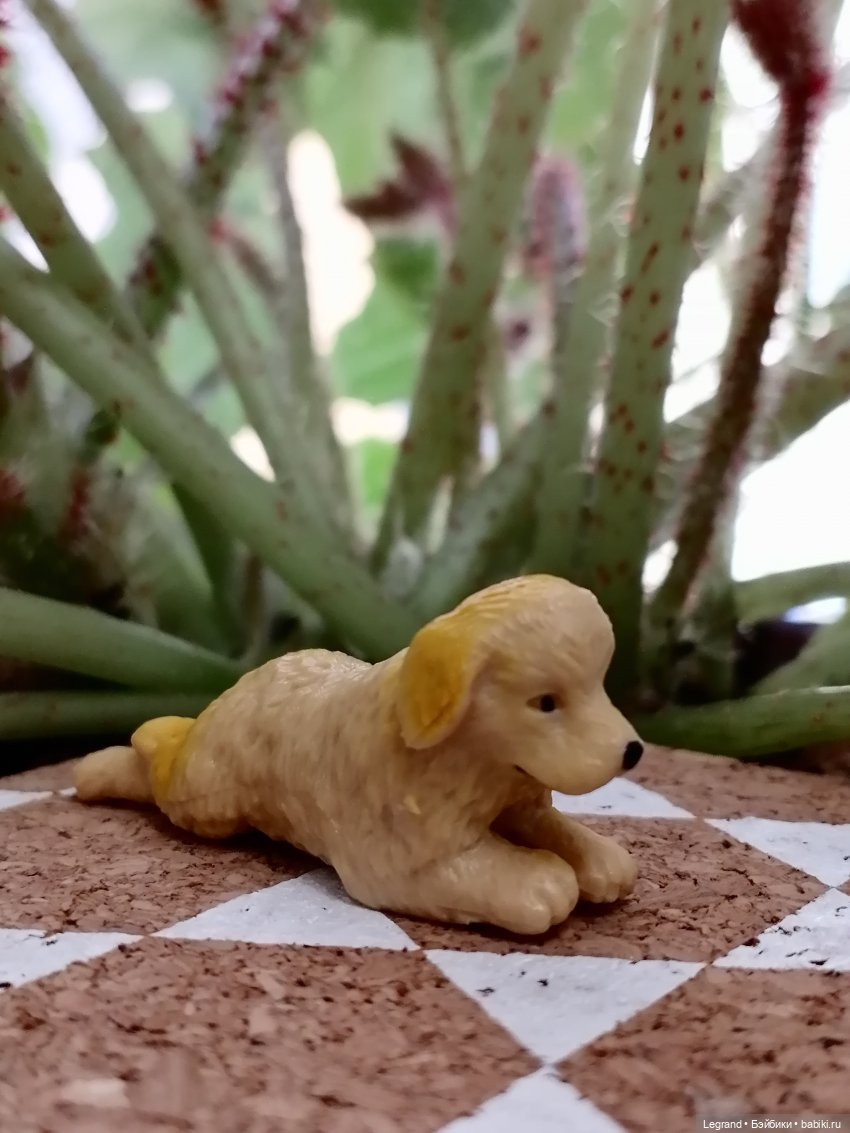 Лурения: прогулки собачек от Kari (фото 9)