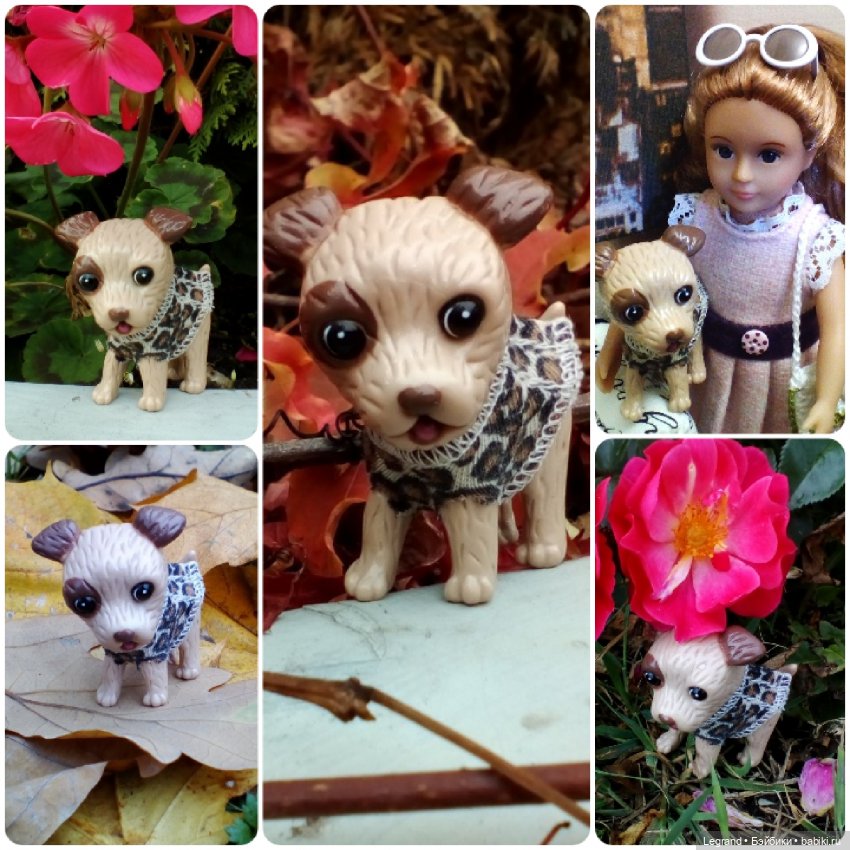 Лурения: перепись собачек - 2025 (фото 6)