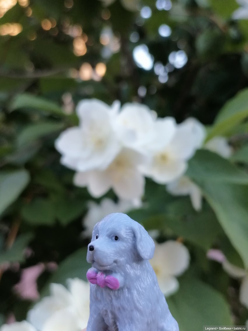 Лурения: прогулки собачек от Kari