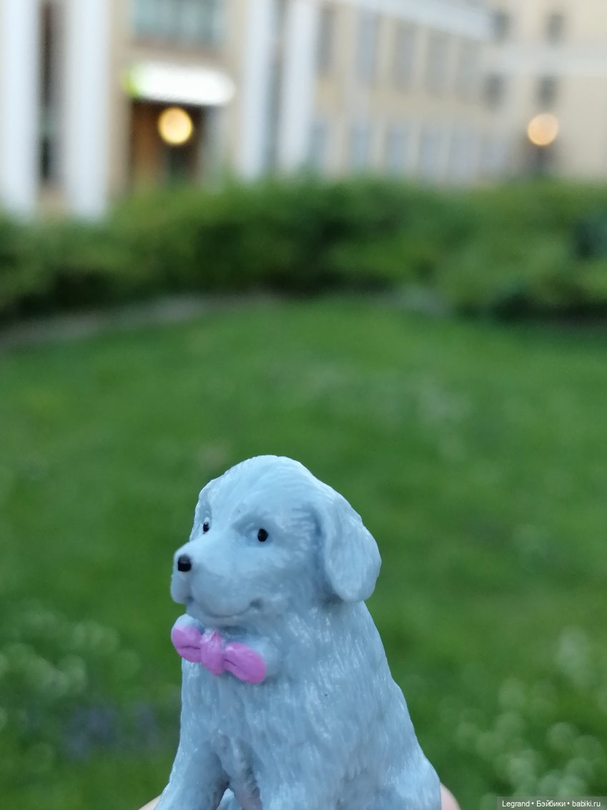 Лурения: прогулки собачек от Kari