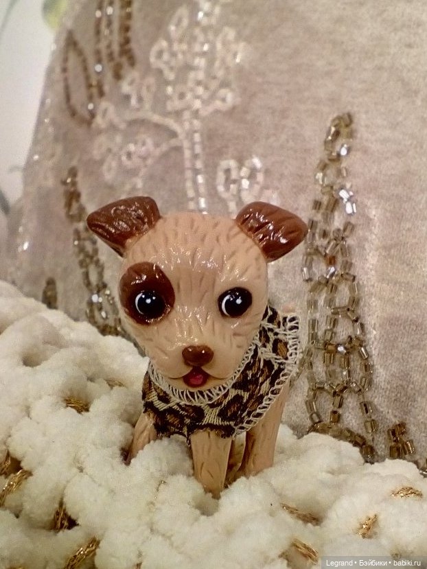 Лурения: перепись собачек - 2025 (фото 5)