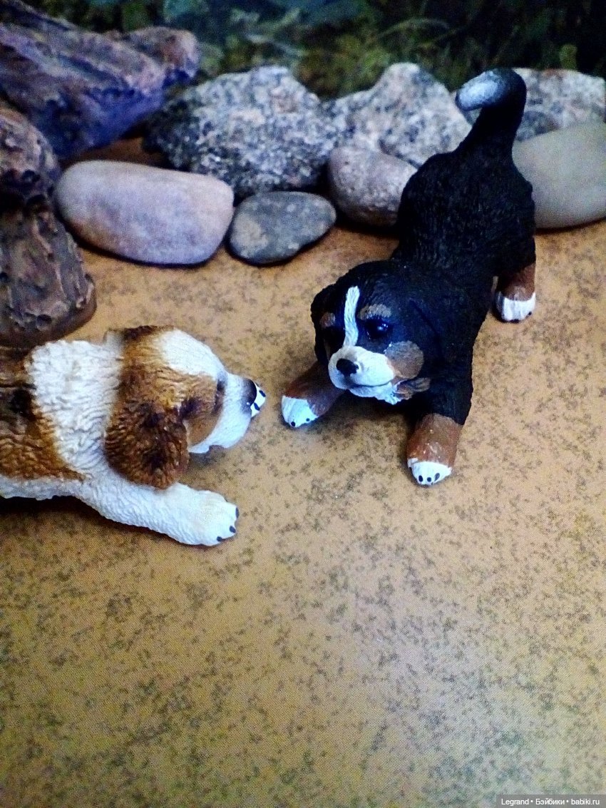 Лурения: перепись собачек - 2025