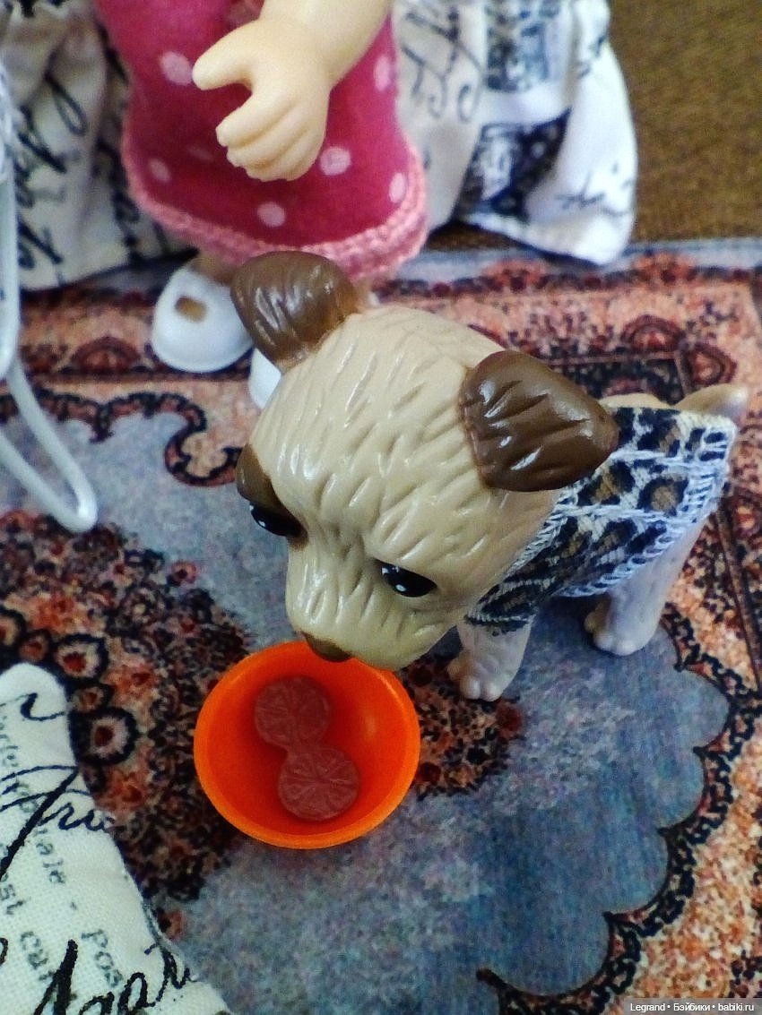 Лурения: перепись собачек - 2025