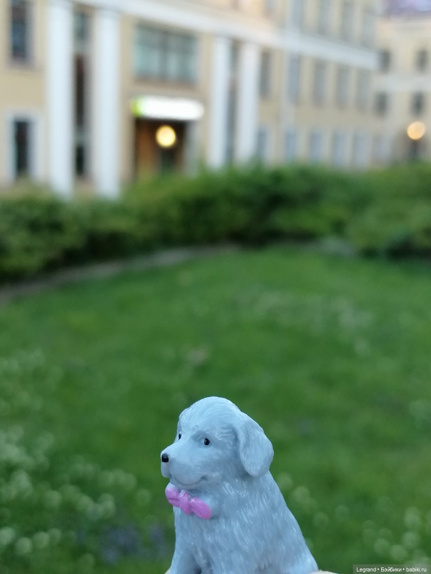 Лурения: прогулки собачек от Kari