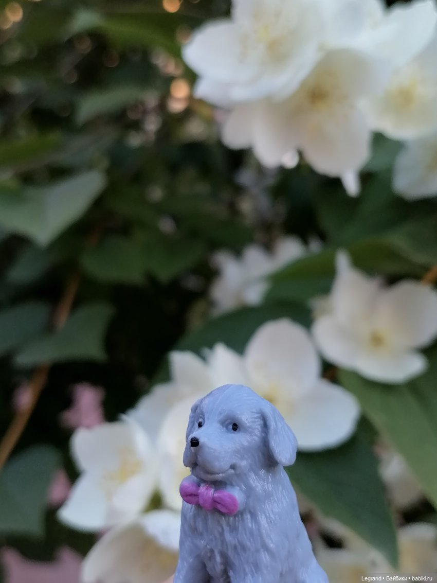 Лурения: прогулки собачек от Kari