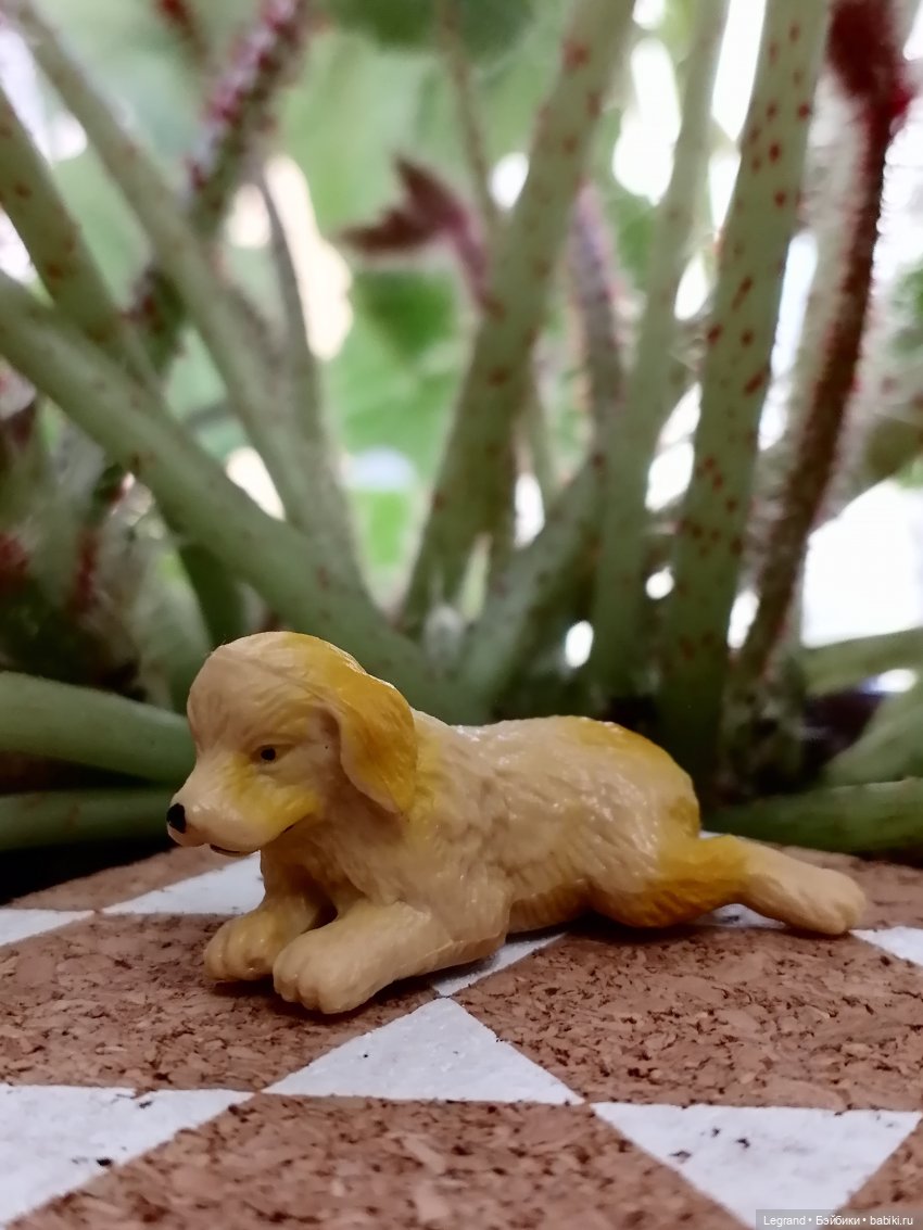 Лурения: прогулки собачек от Kari (фото 6)