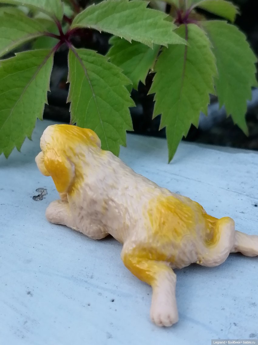 Лурения: прогулки собачек от Kari