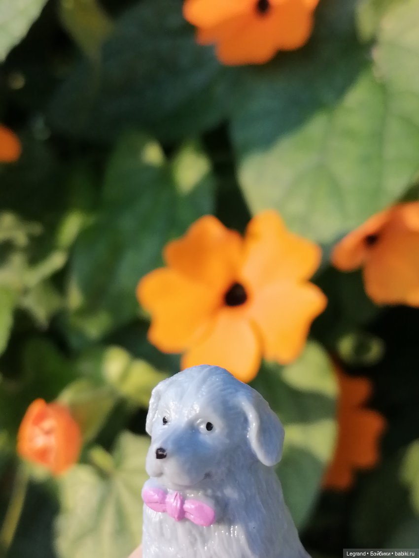 Лурения: прогулки собачек от Kari