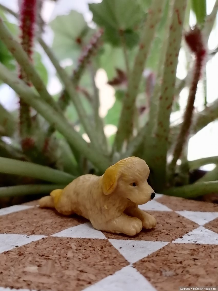 Лурения: прогулки собачек от Kari (фото 7)