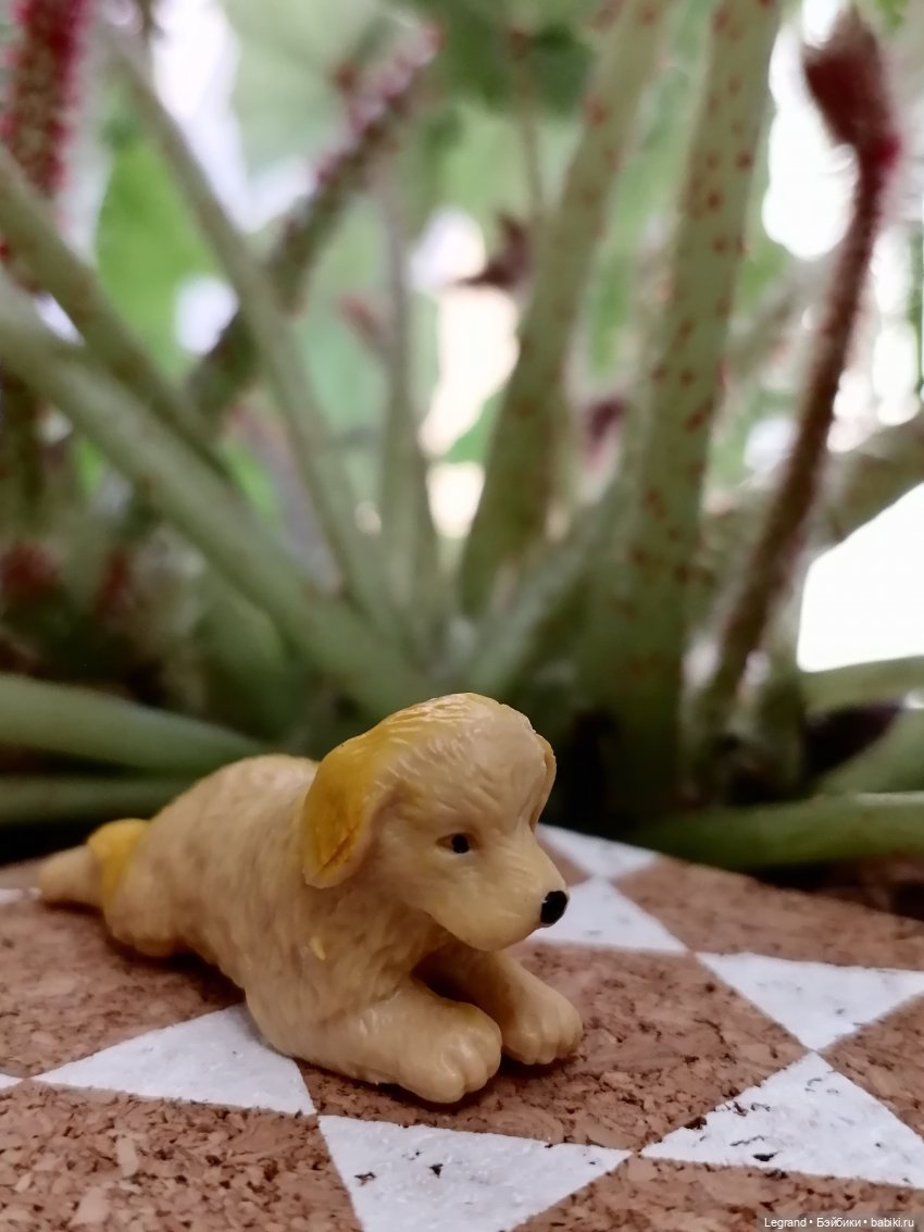 Лурения: прогулки собачек от Kari (фото 10)