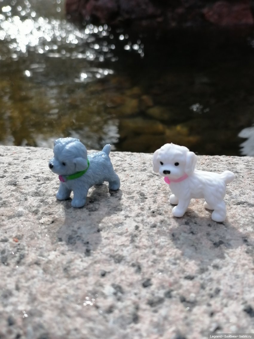 Лурения: перепись собачек - 2025