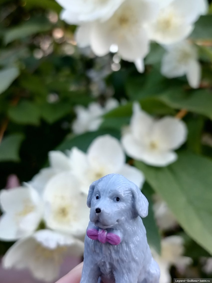 Лурения: прогулки собачек от Kari