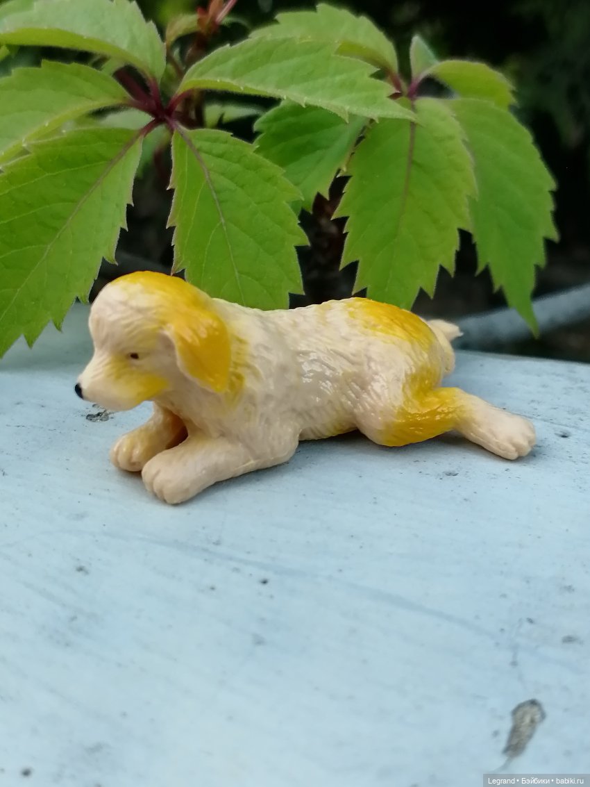 Лурения: прогулки собачек от Kari