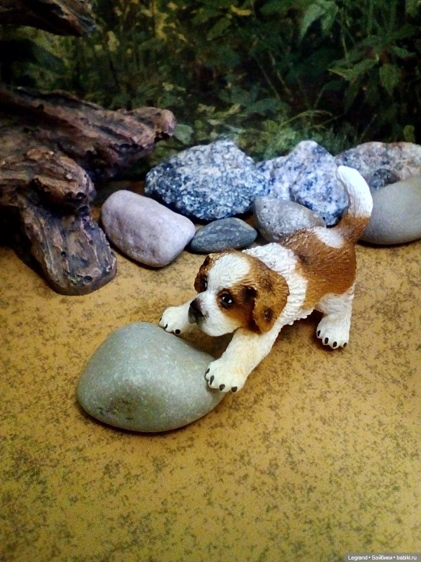 Лурения: перепись собачек - 2025