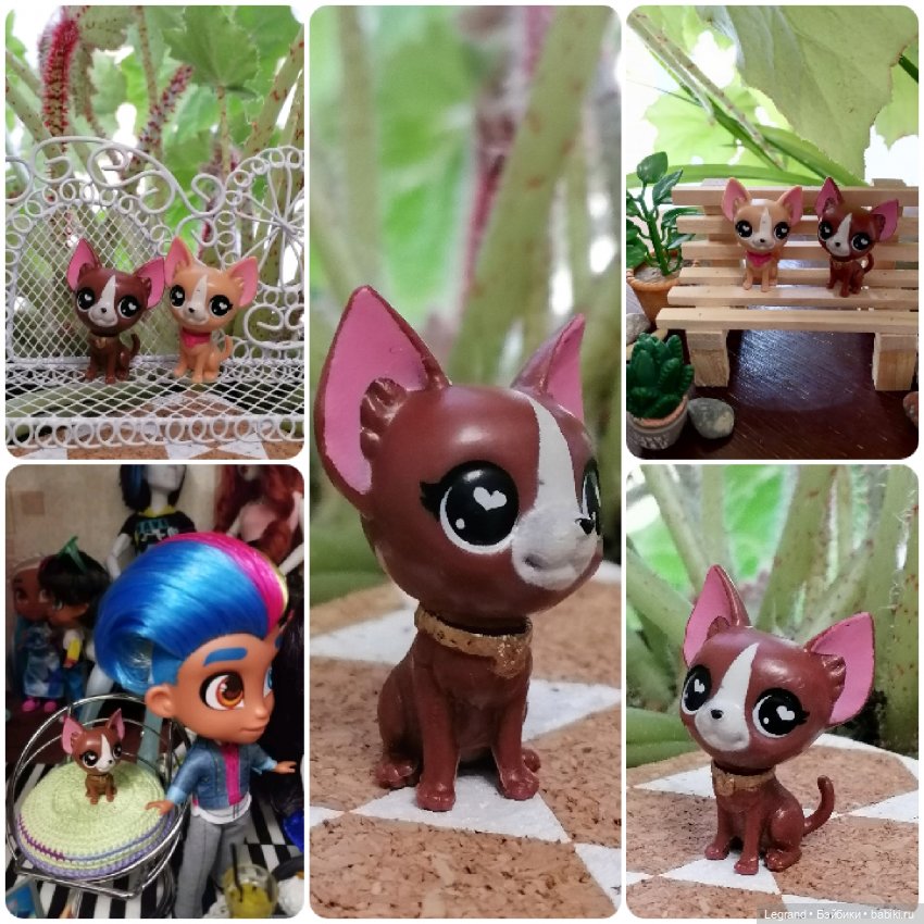 Лурения: перепись собачек - 2025