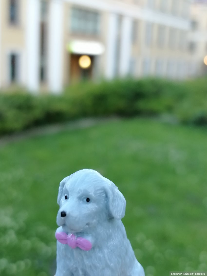 Лурения: прогулки собачек от Kari