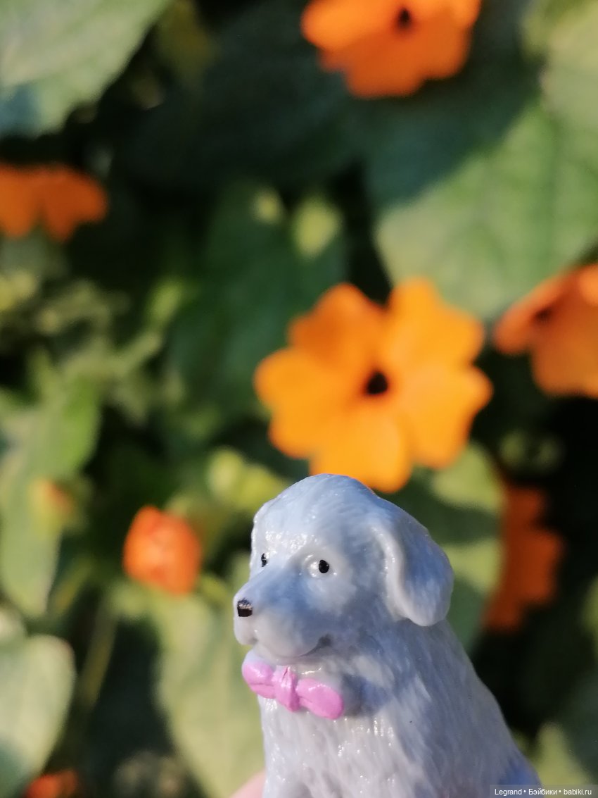 Лурения: прогулки собачек от Kari