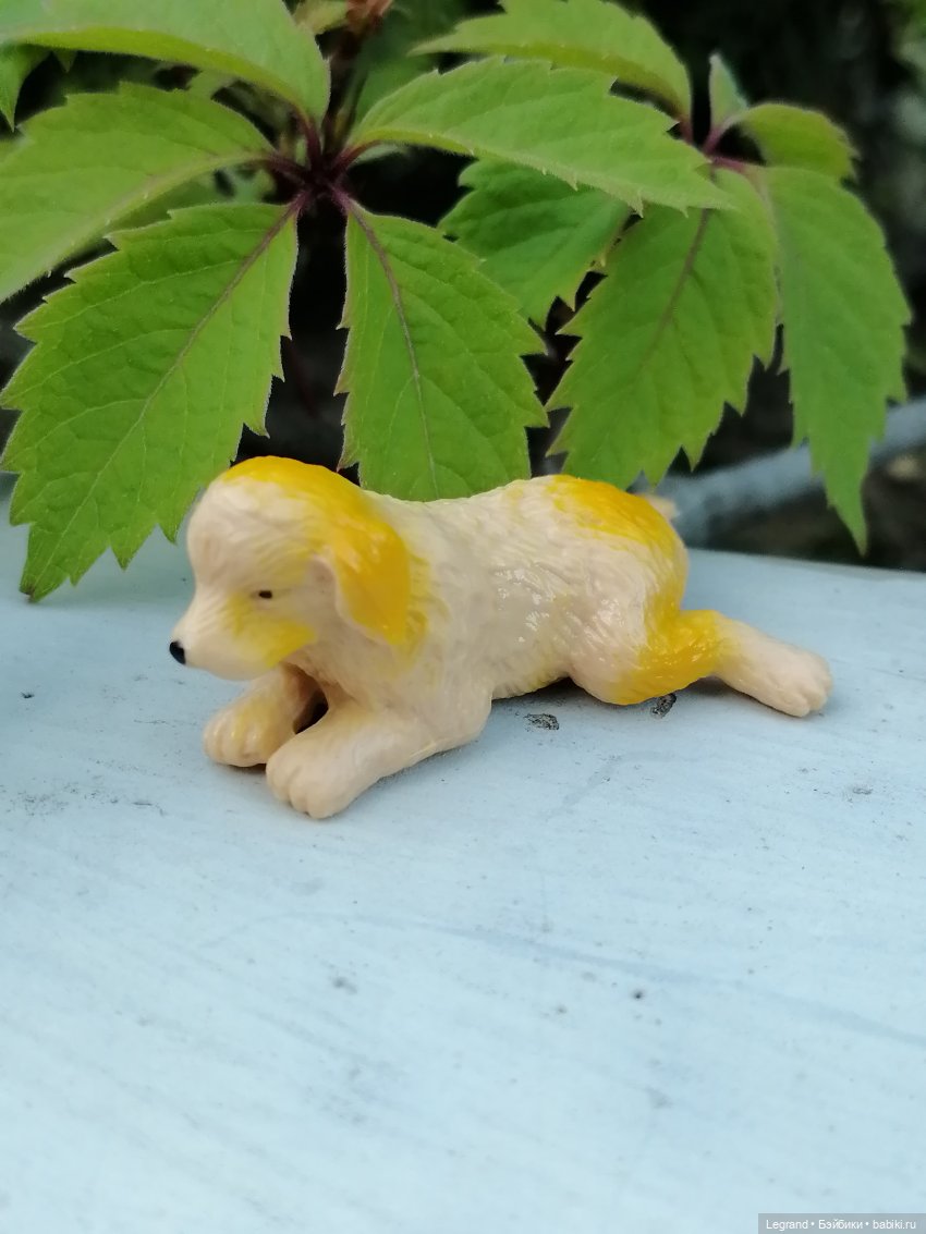 Лурения: прогулки собачек от Kari