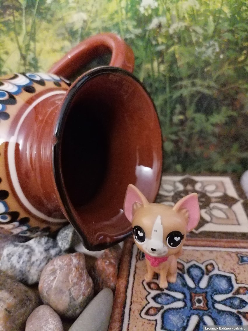 Лурения: перепись собачек - 2025