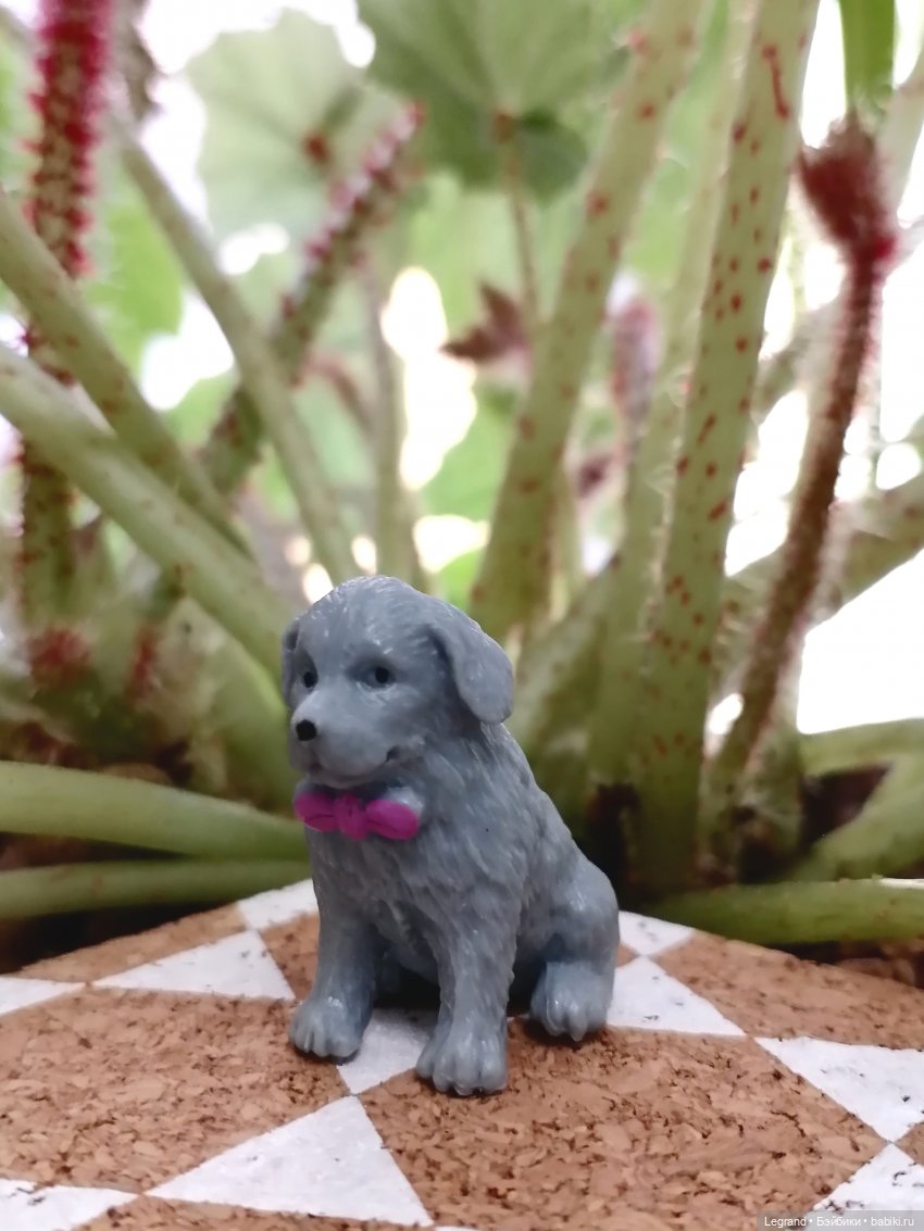 Лурения: прогулки собачек от Kari (фото 3)