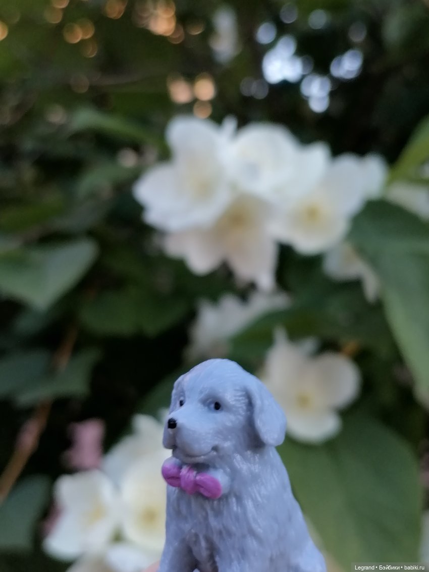 Лурения: прогулки собачек от Kari