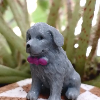 Лурения: прогулки собачек от Kari