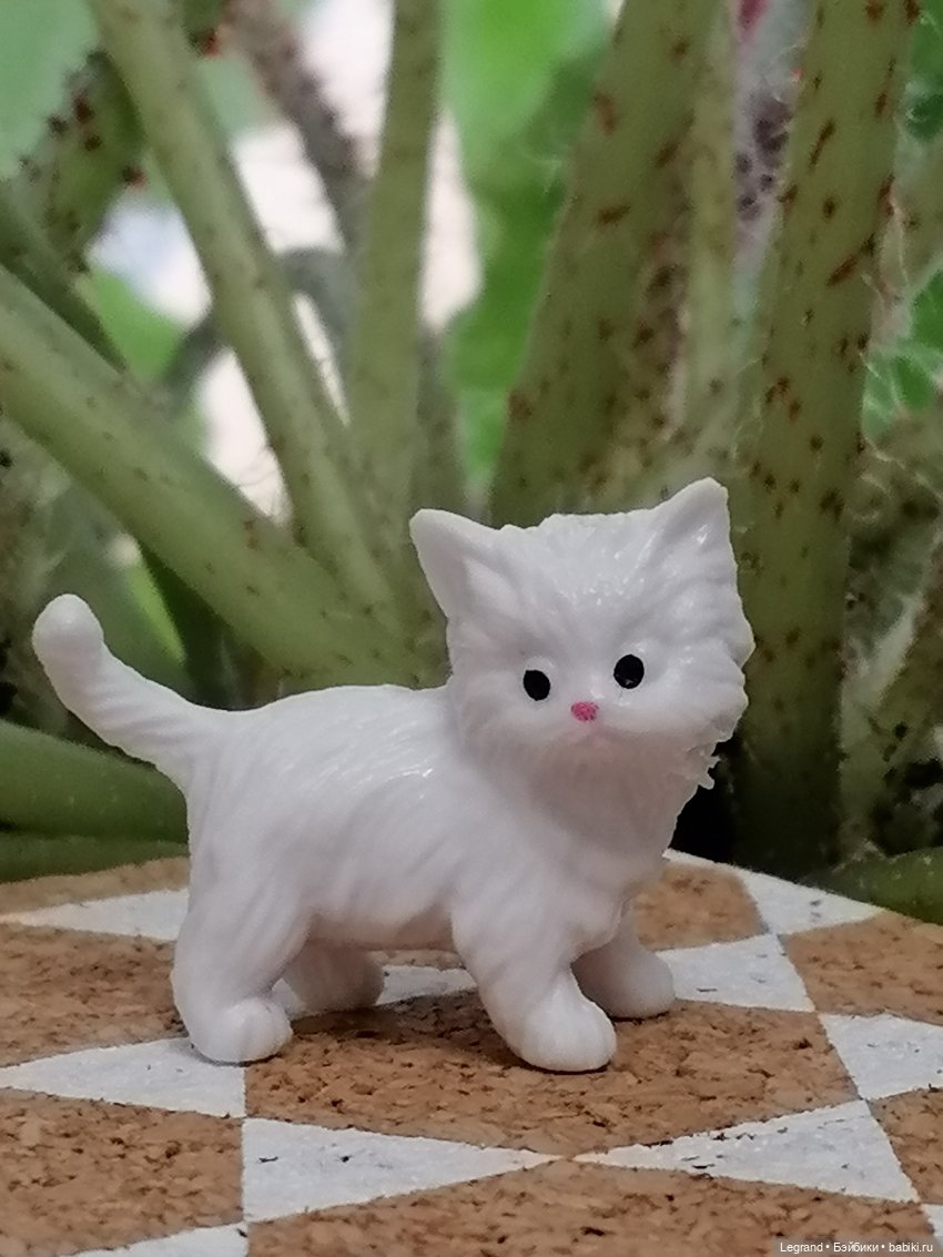 Лурения: семья кошки Шекер🐈 (фото 6)