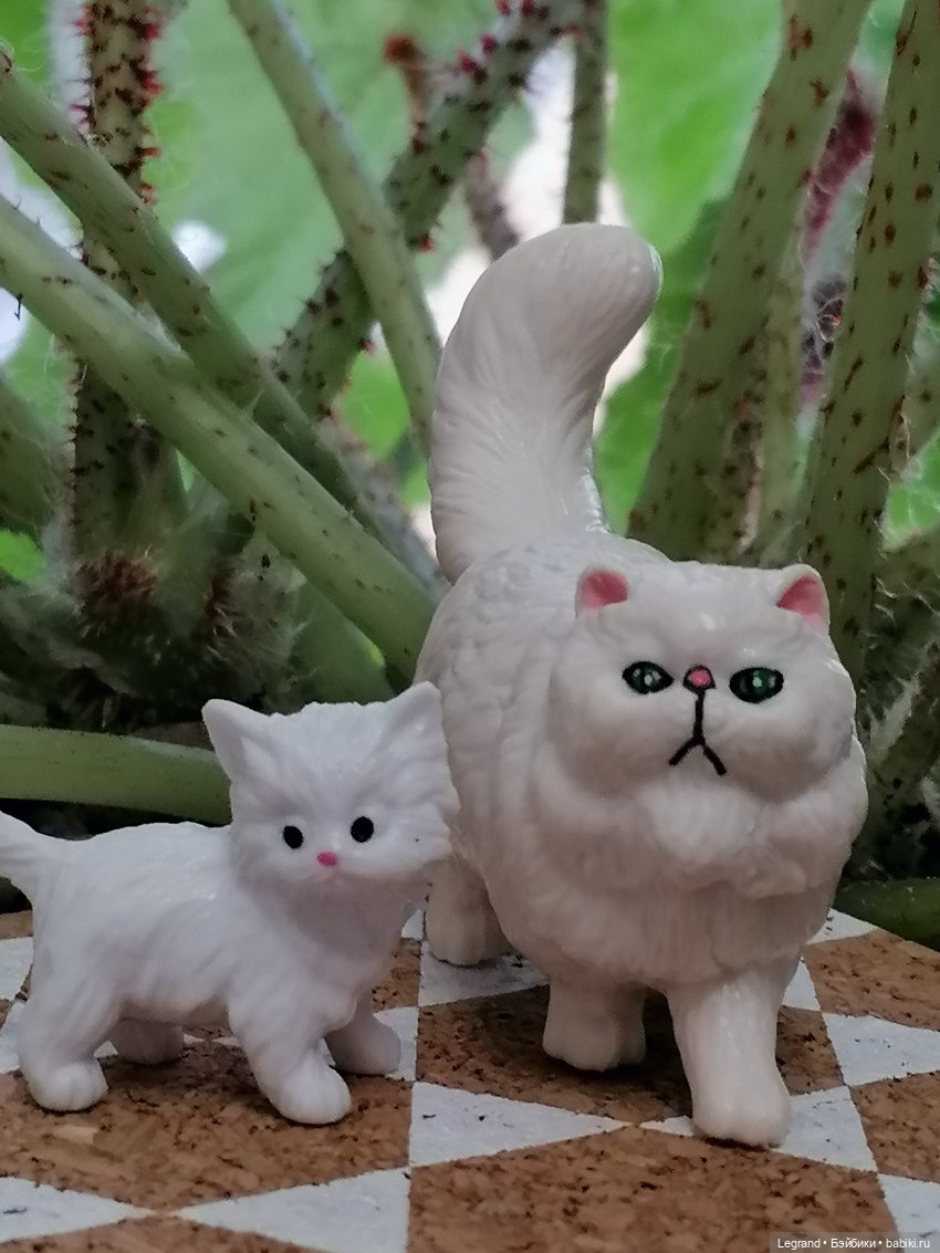 Они сами пишут свои истории: О кошачьих и не только🤗