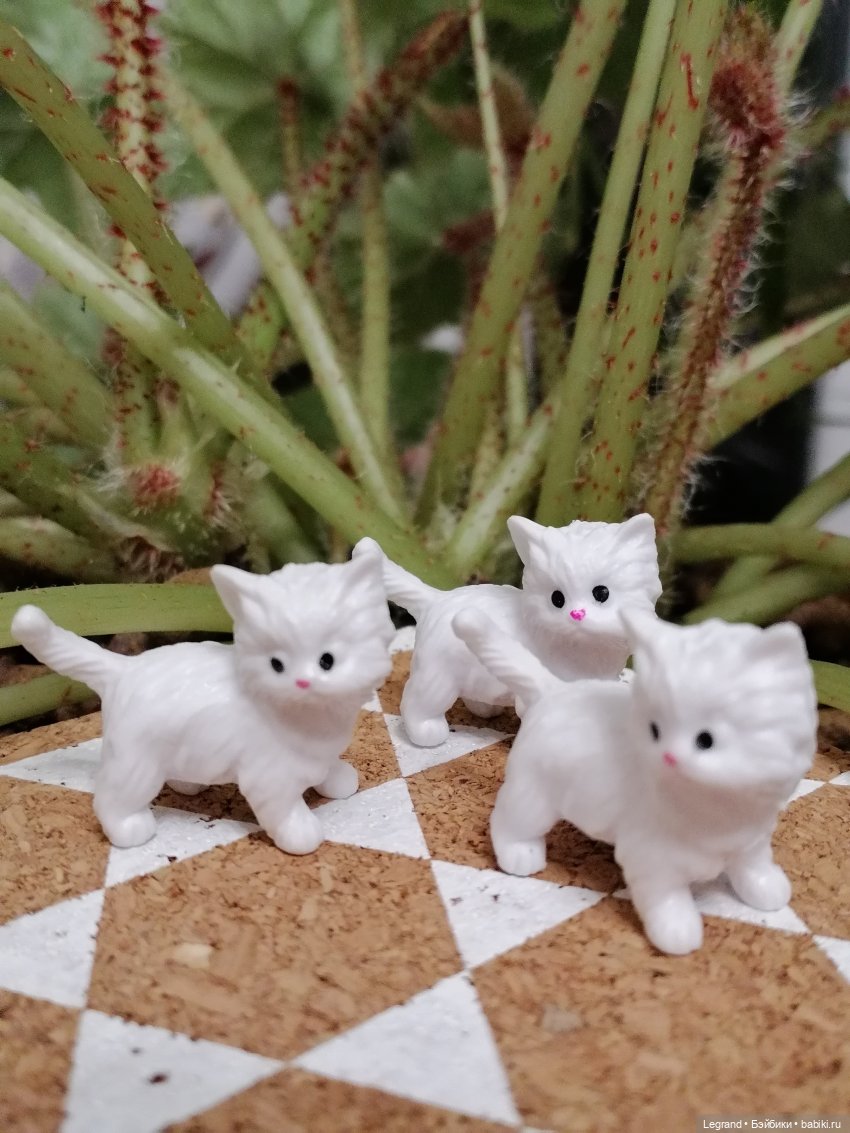 Они сами пишут свои истории: О кошачьих и не только🤗