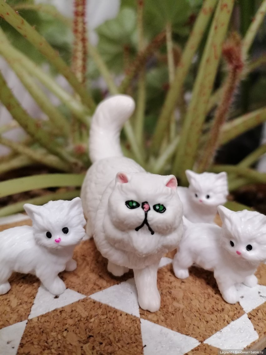 Они сами пишут свои истории: О кошачьих и не только🤗