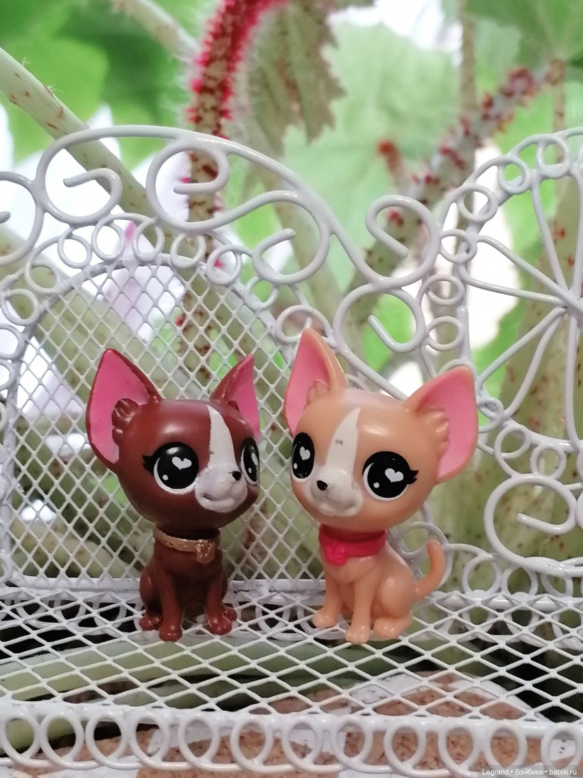 Лурения - Верхний сад: прогулки и встречи (фото 2)