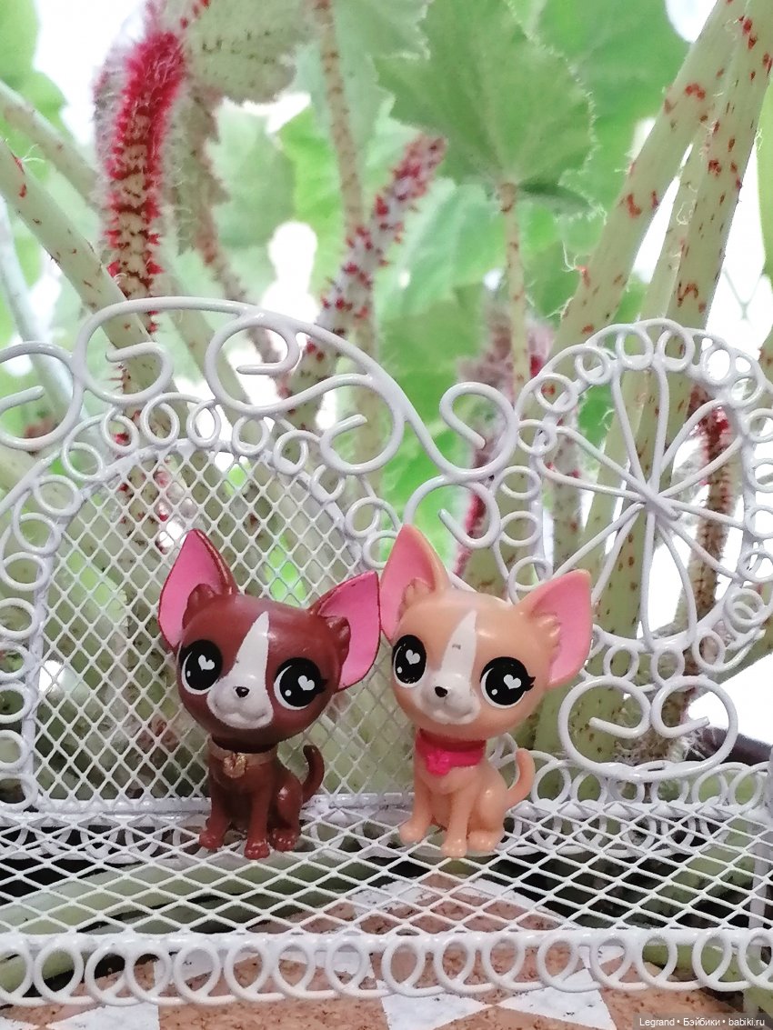 Лурения - Верхний сад: прогулки и встречи (фото 5)