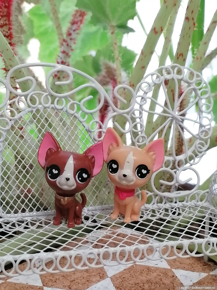 Лурения - Верхний сад: прогулки и встречи (фото 6)