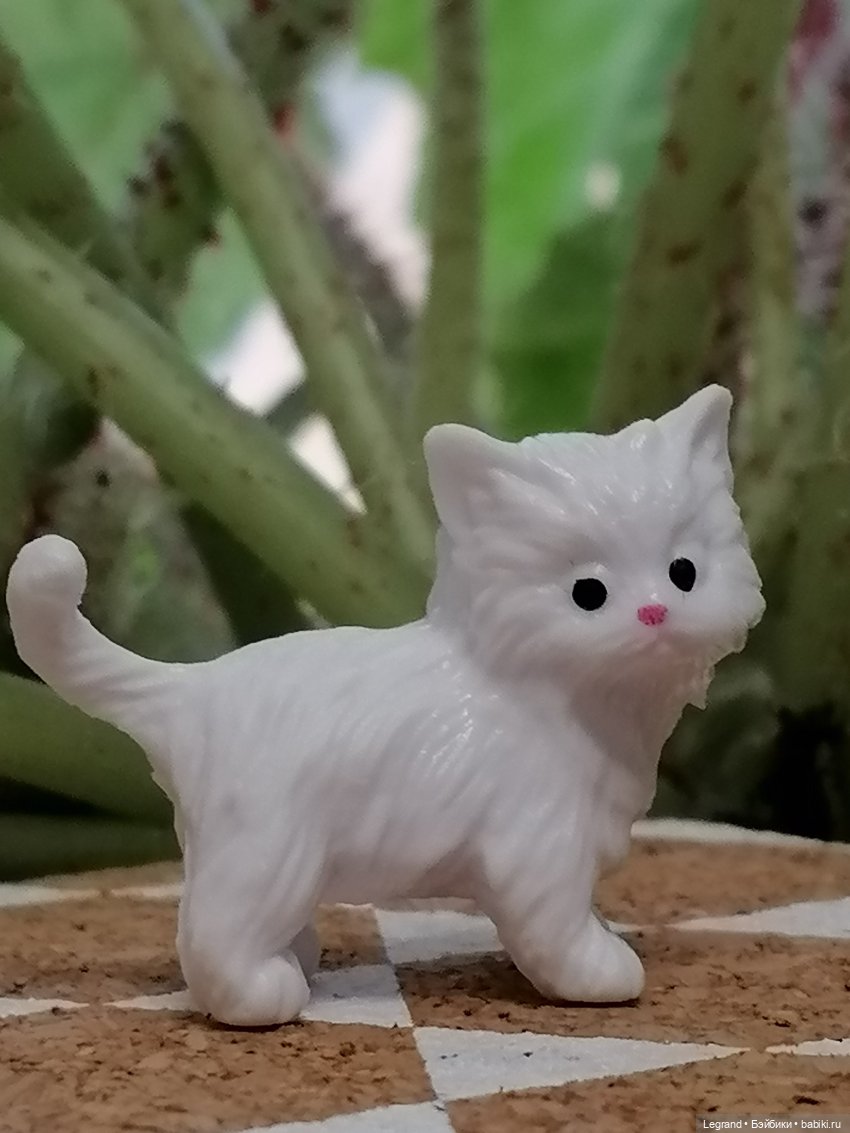 Они сами пишут свои истории: О кошачьих и не только🤗