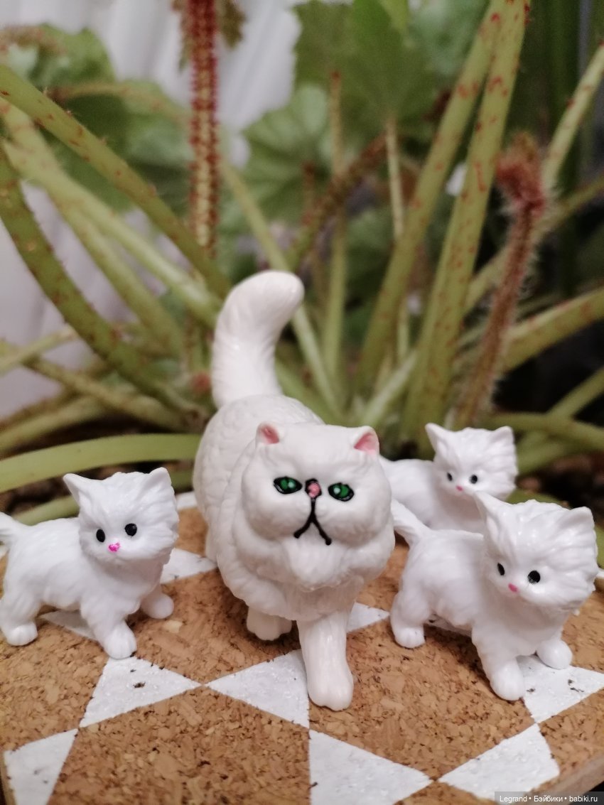 Они сами пишут свои истории: О кошачьих и не только🤗