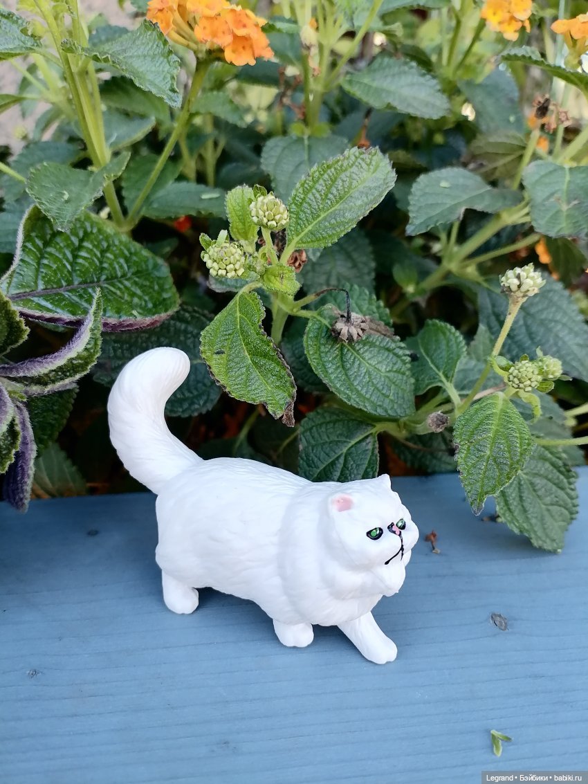 Они сами пишут свои истории: О кошачьих и не только🤗