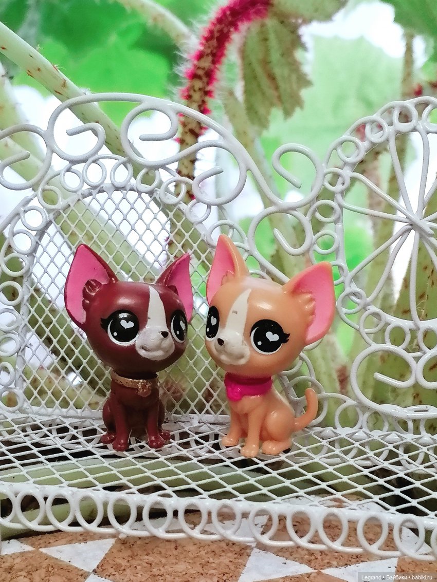 Лурения - Верхний сад: прогулки и встречи (фото 3)