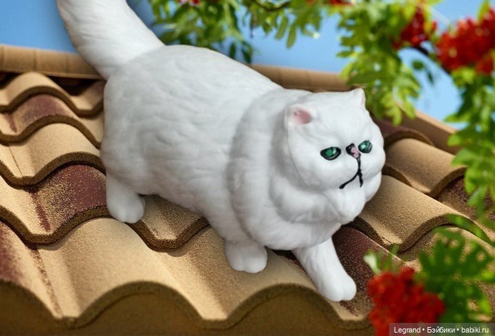 Они сами пишут свои истории: О кошачьих и не только🤗