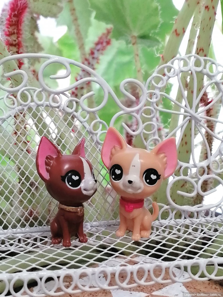 Лурения - Верхний сад: прогулки и встречи (фото 4)