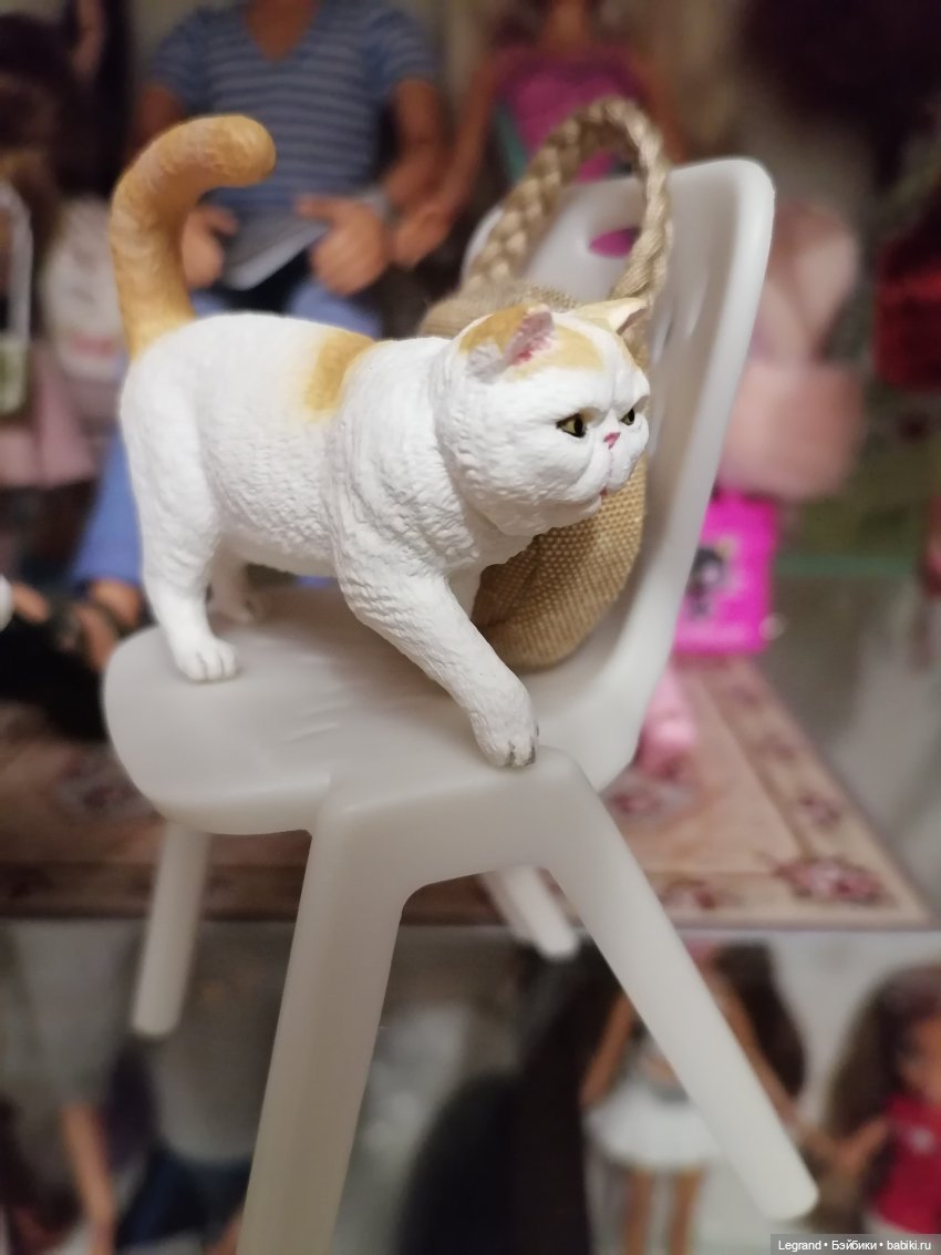 Они сами пишут свои истории: О кошачьих и не только🤗