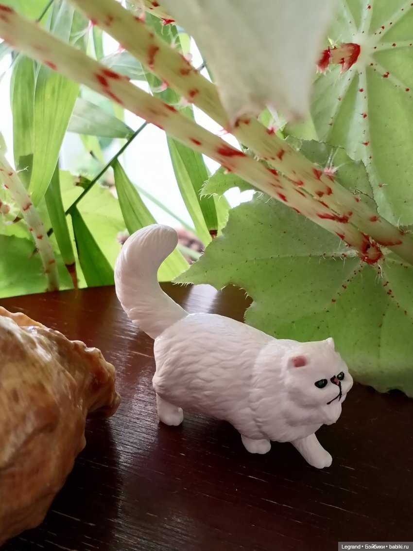 Они сами пишут свои истории: О кошачьих и не только🤗