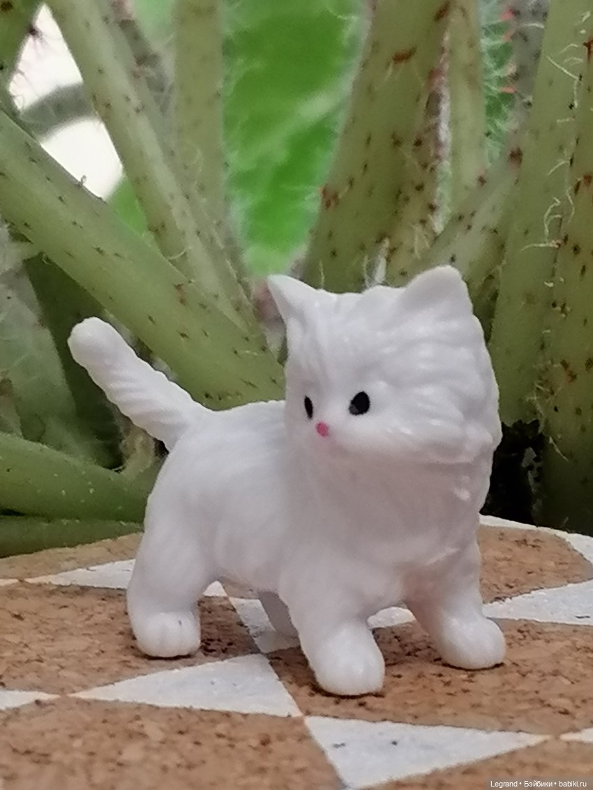 Лурения: семья кошки Шекер🐈 (фото 4)