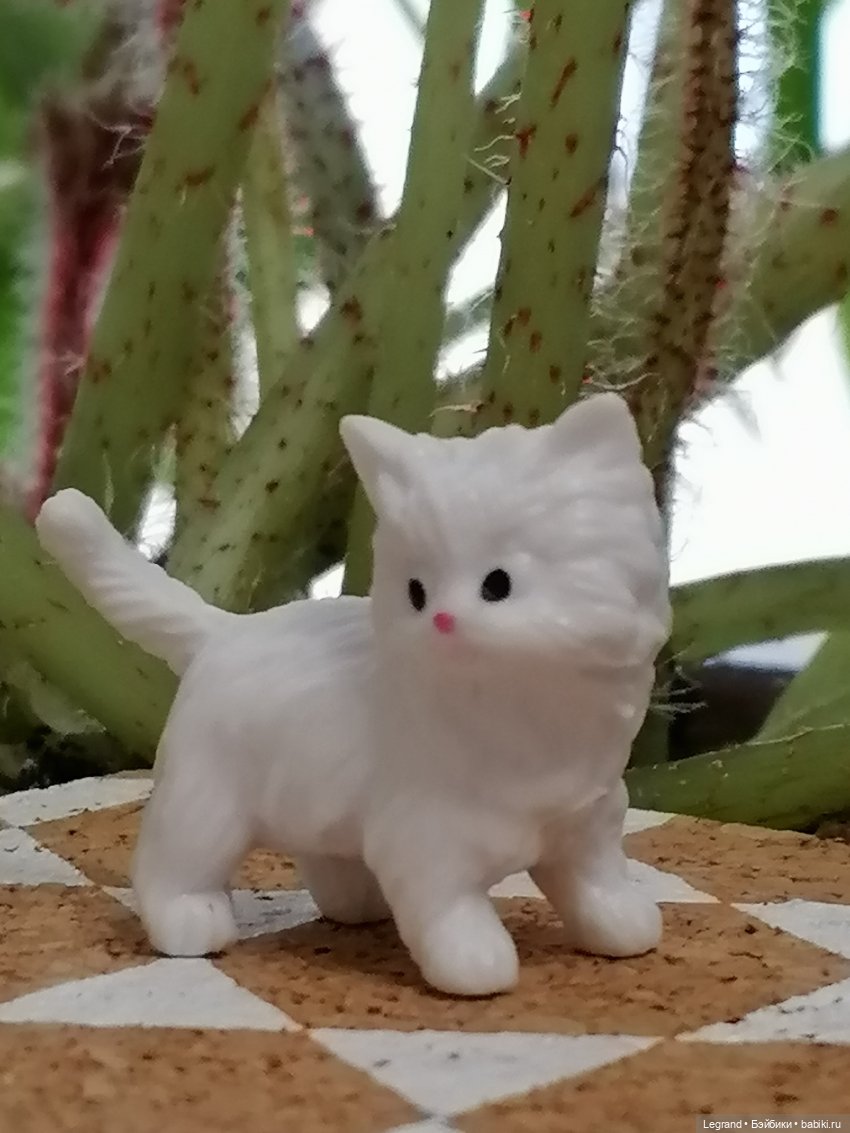 Они сами пишут свои истории: О кошачьих и не только🤗