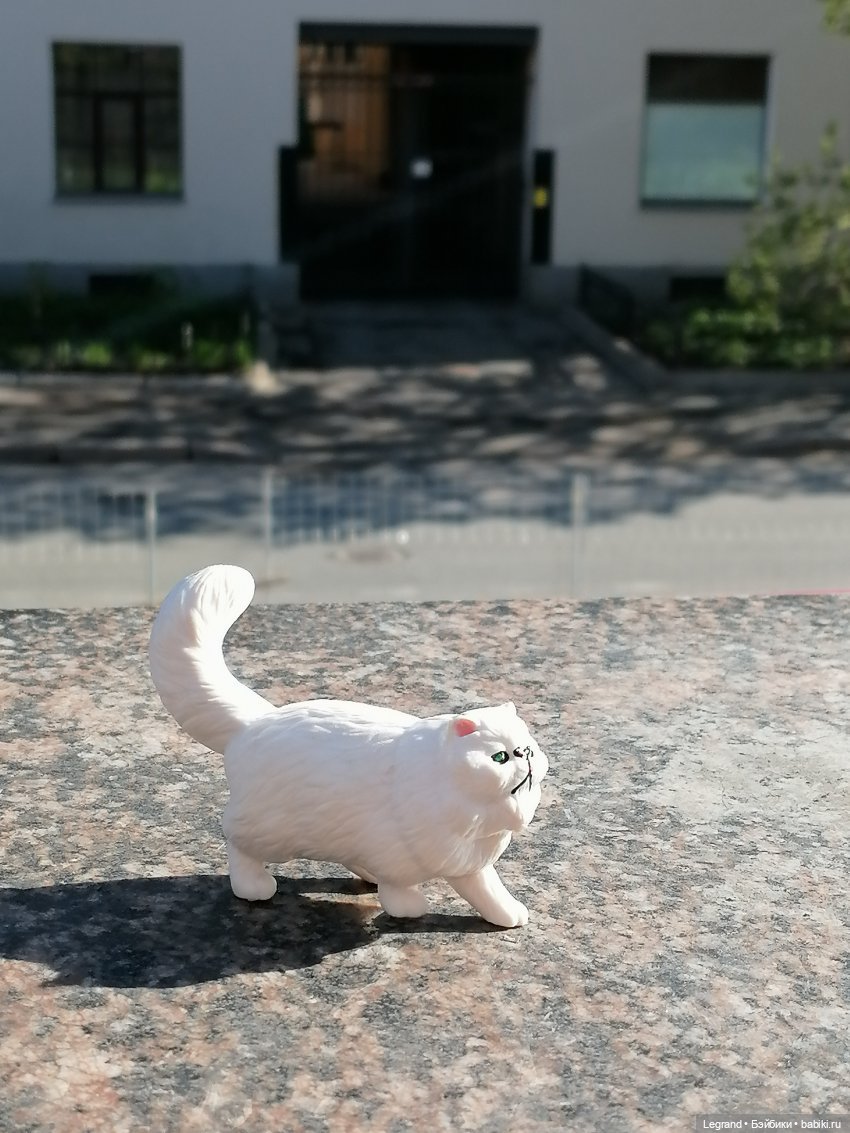 Они сами пишут свои истории: О кошачьих и не только🤗